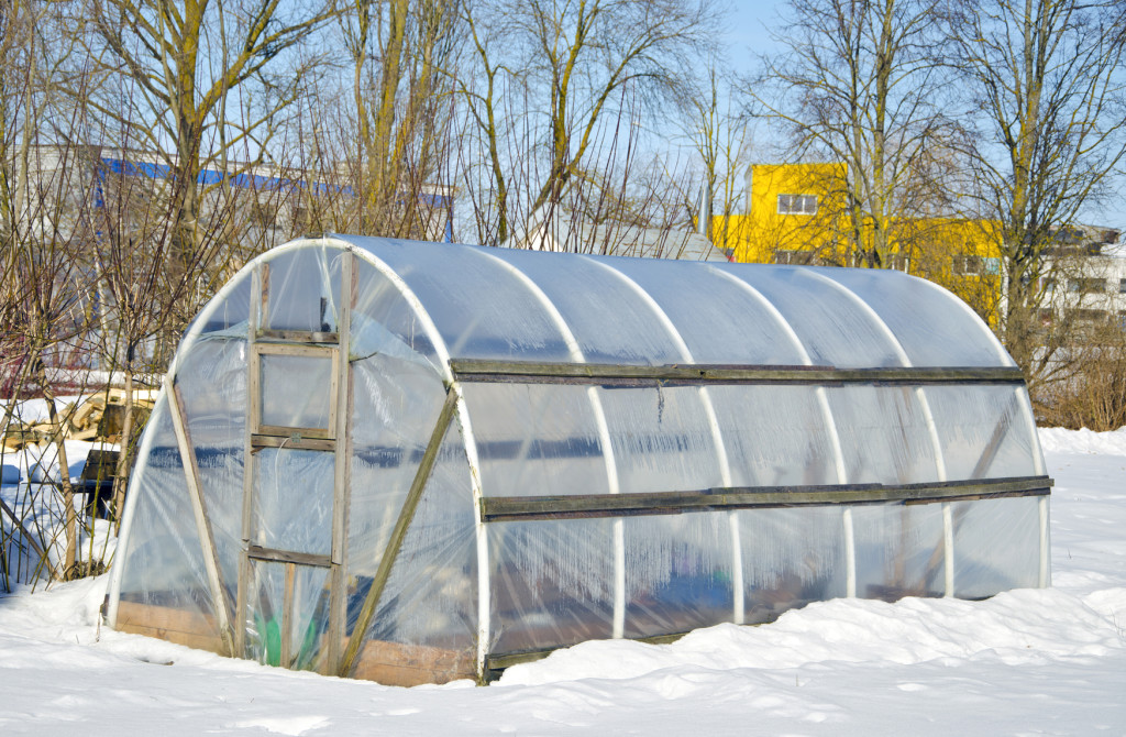 Winter Gardening and Biochar