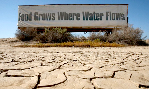 The California Drought and Biochar
