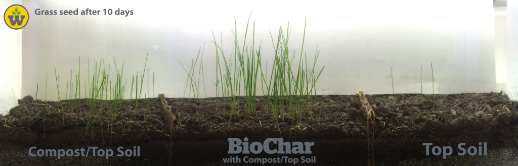 Biochar for Lawncare Biochar for lawncare