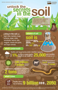 The Secrets Of The Soil