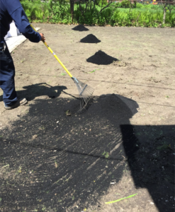 How To Use Biochar For New Sod and Lawncare