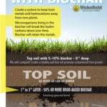 Soil remediation with biochar