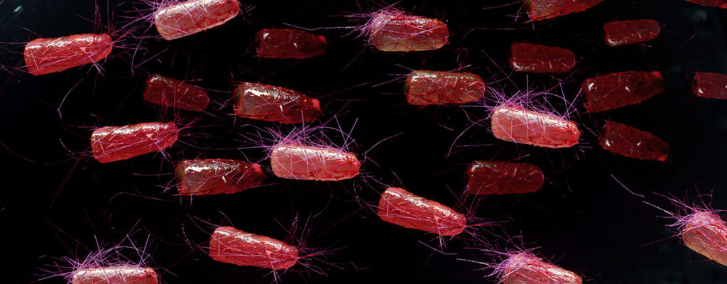 e coli bacteria remediation