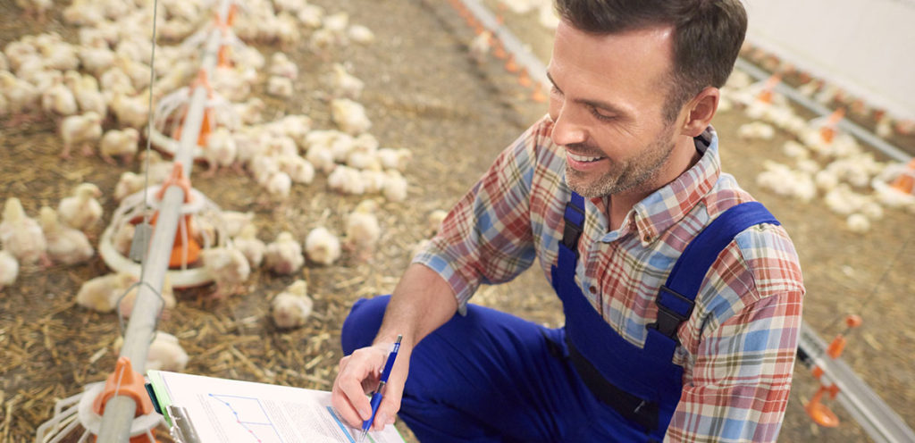 Farmer with Chickens