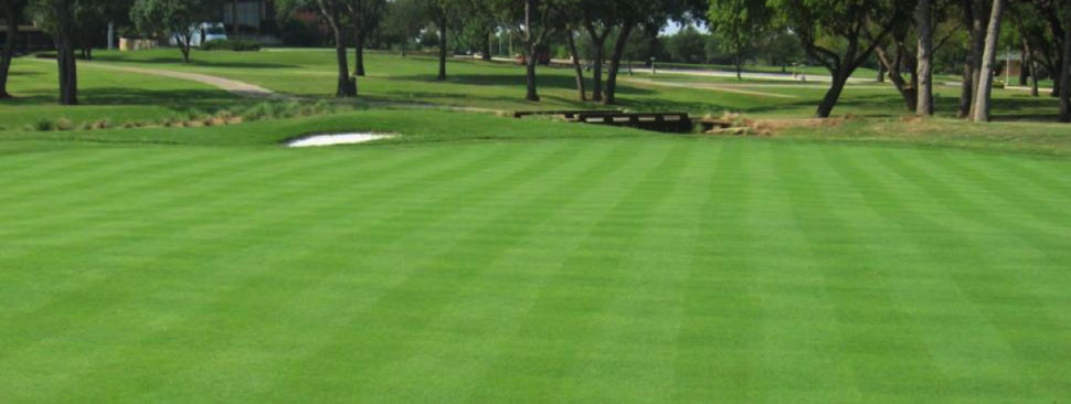 Using biochar for golf course management