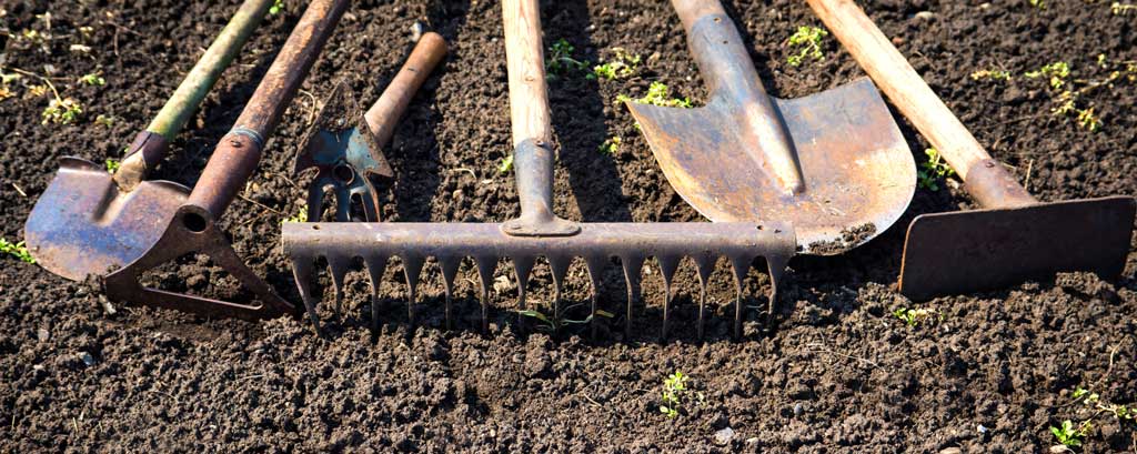 Garden and Soil with Biochar