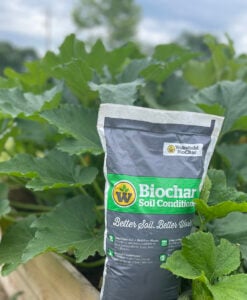 Wakefield BioChar Soil Conditioner - Bag With Raised Bed Garden