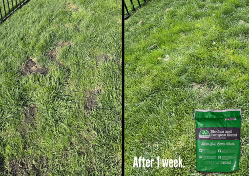 Hero Biochar and Compost Blend - Customer lawn application
